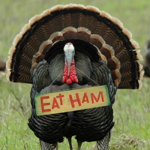 Happy Thanksgiving Happy Thanksgiving